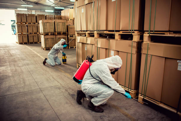 Best Insect Control  in Fort Montgomery, NY