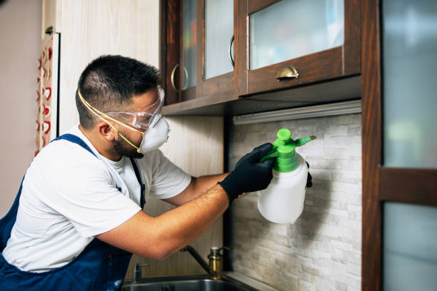 Best Bed Bug Extermination  in Fort Montgomery, NY