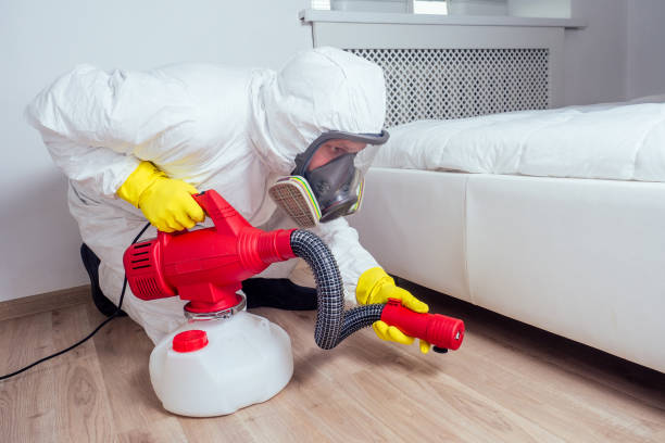 Flea Control Services in Fort Montgomery, NY