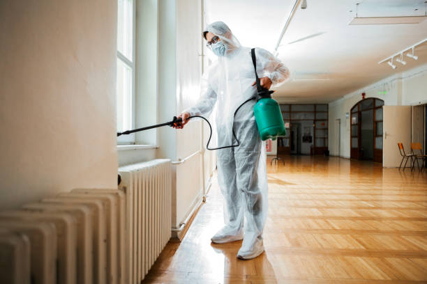 Best Flea Control Services  in Fort Montgomery, NY