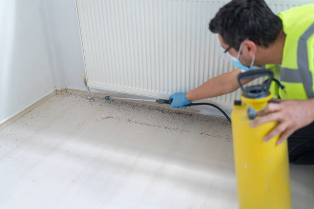 Best Wasp Removal Services  in Fort Montgomery, NY